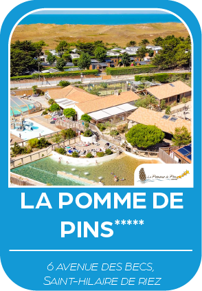 Fiche synthétique du camping de la pomme de pins