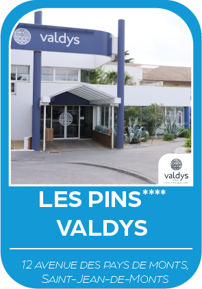 Fiche synthétique de l'hôtel des pins de Valdys